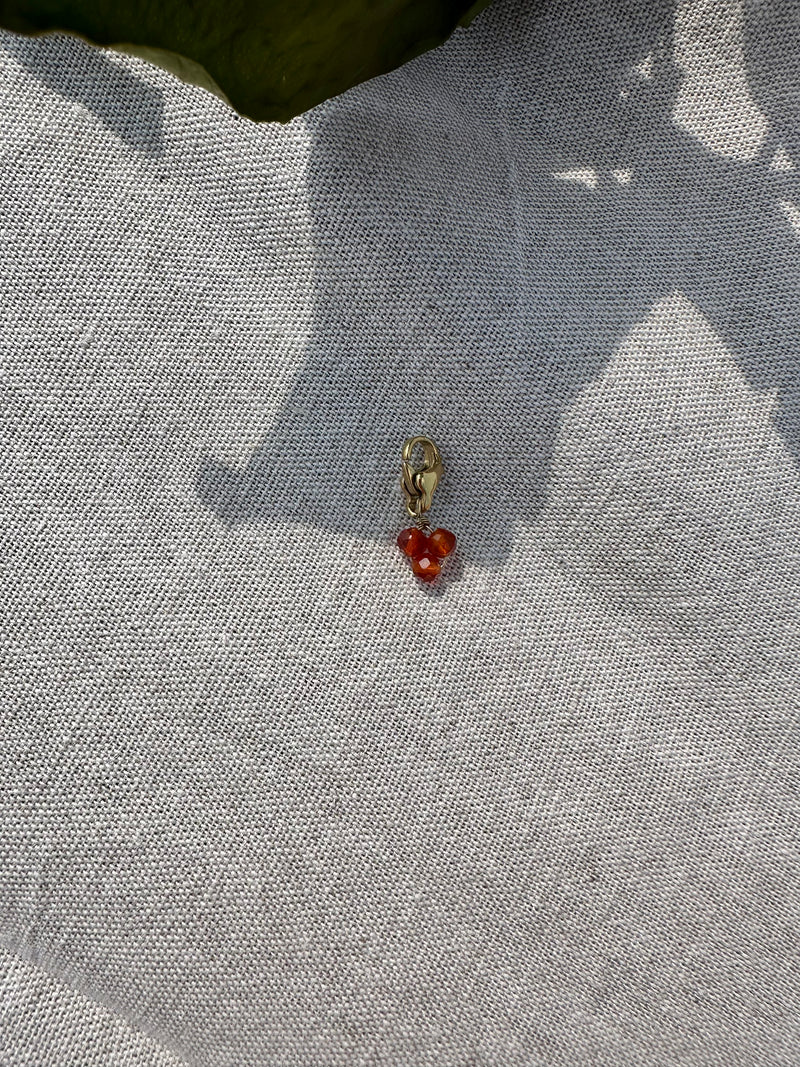 Charm Cornaline