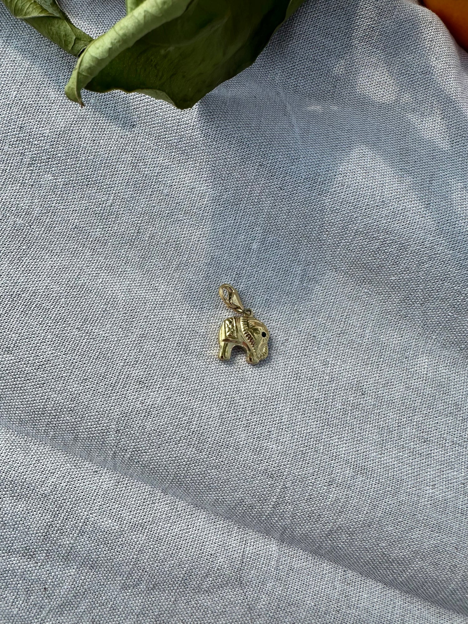 Charm éléphant