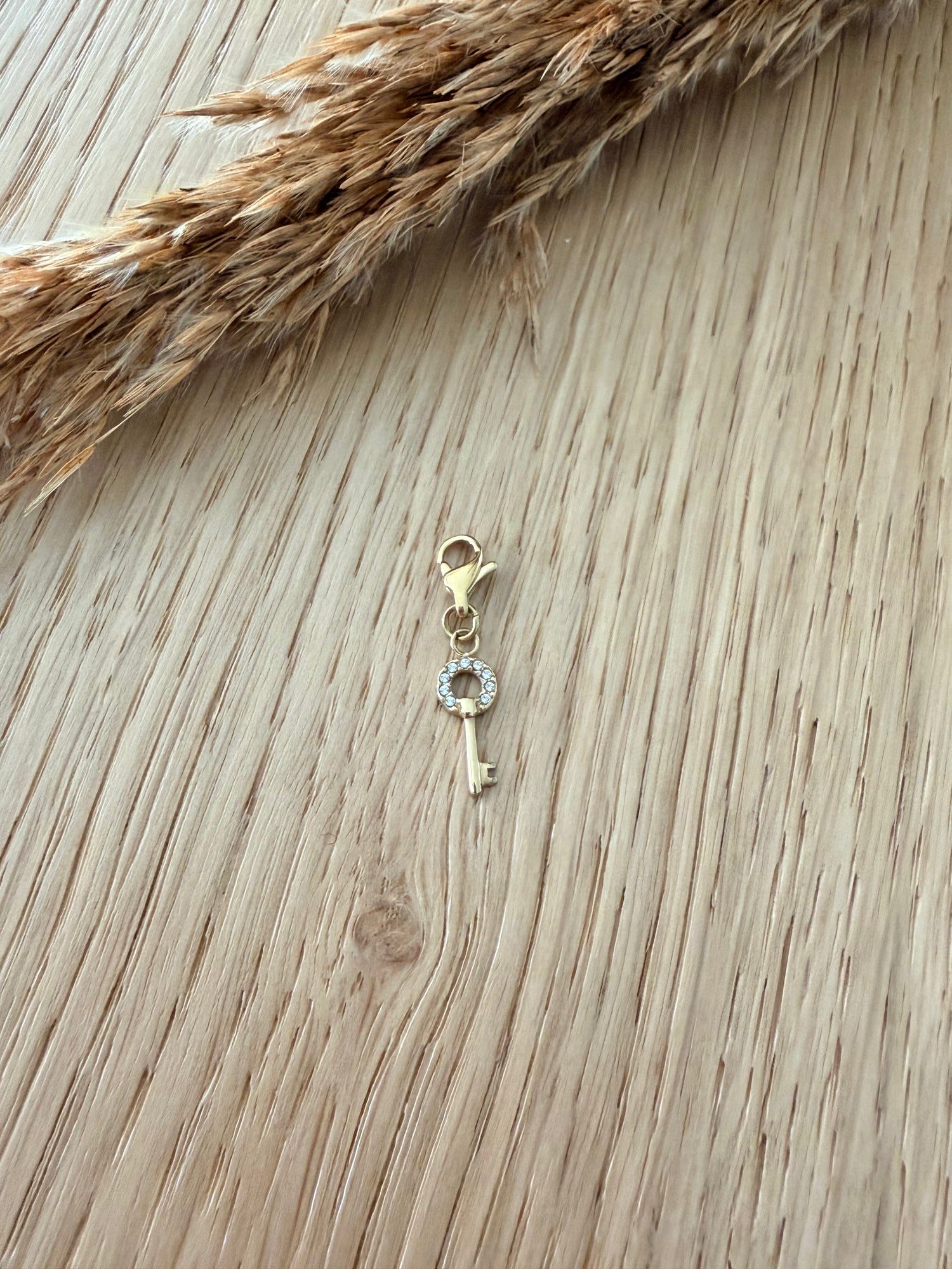 Charm clé